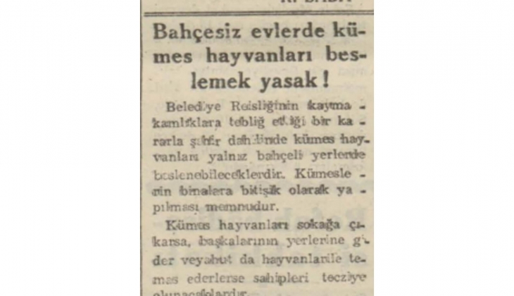 1942'de bahçesiz evlerde kümes hayvanları beslemek yasak! 