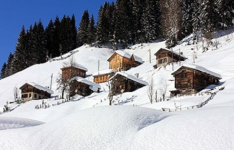 Ayder Yaylası'na yoğun ilgi!