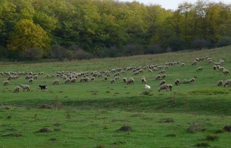 Mera alanlarına bina yapılabilecek!