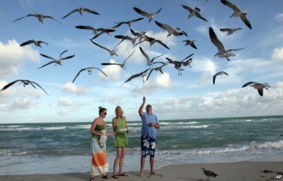 Amerika ya gelen Türklerin tercihi Miami!