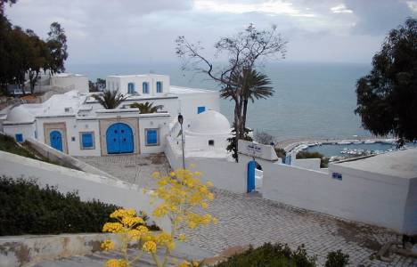 Tunus'ta vergi protestosu yapıldı!