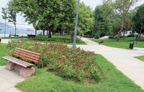 Paşalimanı'na yapılacak 5 yalı projesi iptal edildi!