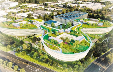 Silikon Vadisi'nde nasıl başarılı olunur?