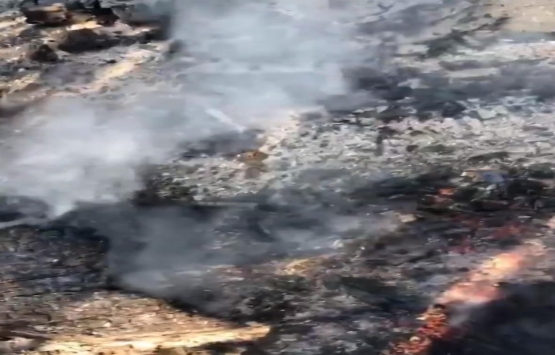 Gerard Butler in evi kül oldu!