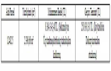 Samsun Canik Belediyesi nden 8.3 milyon TL ye satılık gayrimenkul!