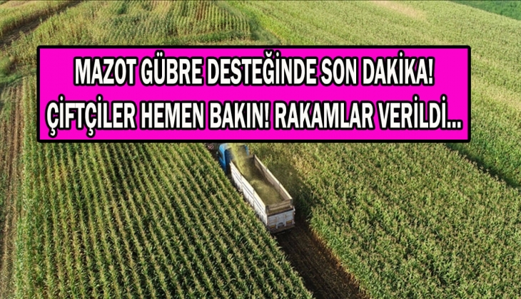 Çiftçiler dikkat! Mazot ve gübre desteği peş peşe hesaplara yattı! 2023 mazot gübre desteğinde son dakika! 