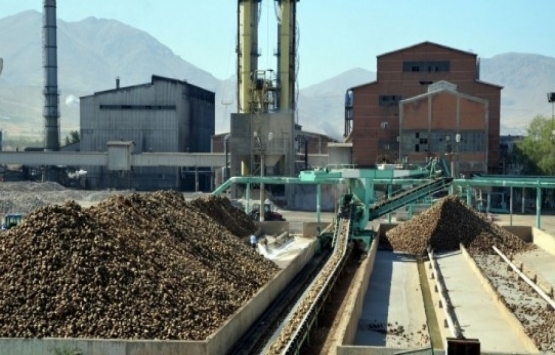 Türkiye Şeker Fabrikaları kiralama ihaleleri