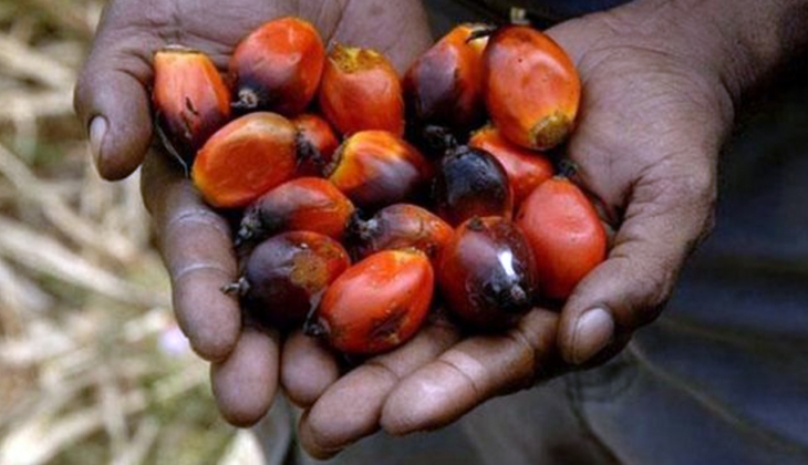 Savaş ülkeleri istemediği bir yere sürüklüyor! Yeniden palm yağına dönüş başladı