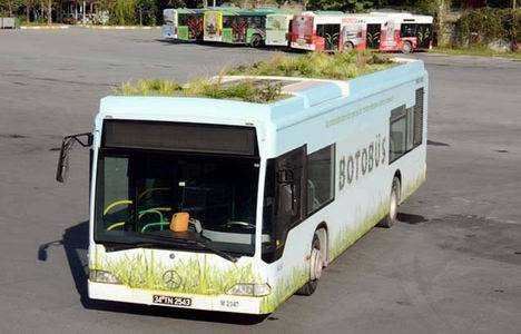 Botobüs: İETT'nin fotosentez yapan otobüsü yollarda!
