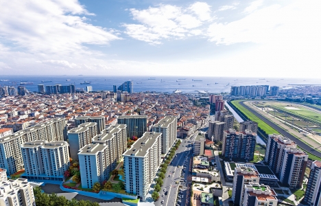 12 soruda Loca Mahal projesi!