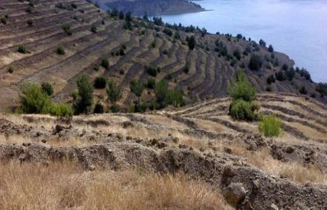 400 baraj ve göletin çevresi 2017 yılına kadar ağaçlandırılacak!