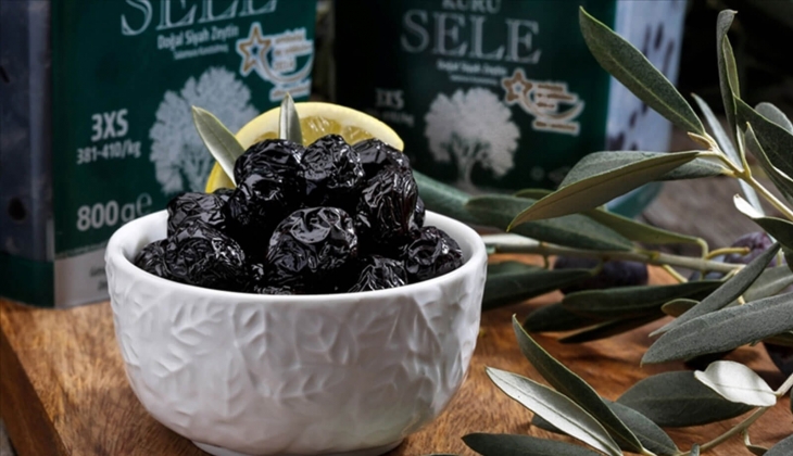 Marmarabirlik ürün alım fiyatlarını tek tek duyurdu: Ödemelerin yüzde 50 si peşin yapılacak: Zeytin üreticileri dikkat!