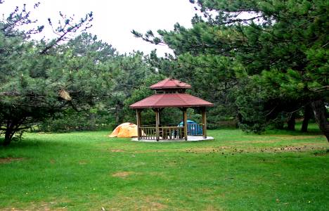 Spil Dağı Milli Parkı, günübirlik ziyaretçilere açıldı!