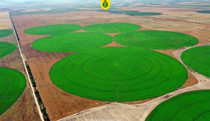 Tarım sektöründen ihracatta ocak rekoru kırıldı! İşte o sektörler…