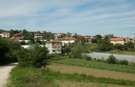 Yalova Hacımehmet'te 2.8 milyon TL'ye satılık arsa!