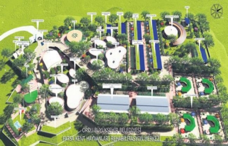 Ordu Fatsa'ya Hayvan Hastanesi ve Hayvan Oteli geliyor!
