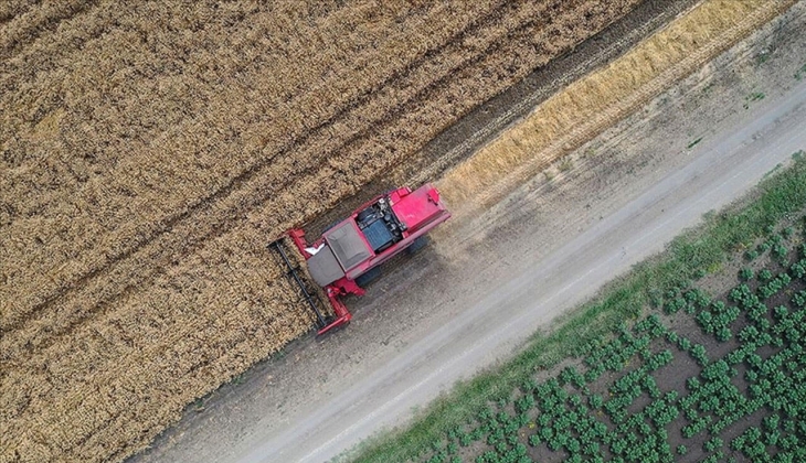 Tarımdaki maliyet artışı tam gaz: Bir yılda üçte bir arttı! 