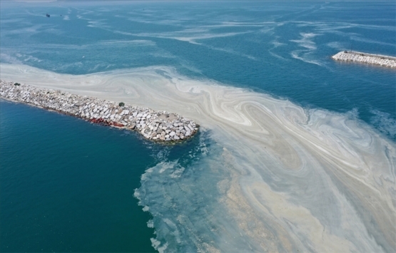 Müsilaj, gayrimenkul piyasasını nasıl etkiledi?