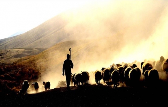 2020-2022 dönemi hayvancılık yatırım destekleri belirlendi!