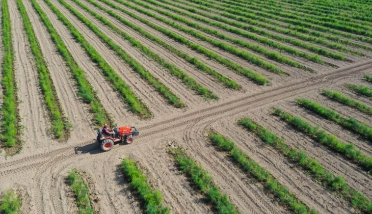 Tarımda korkutan gelişme! Üretici fiyat endeksi yüzde 151,3 yükseldi!