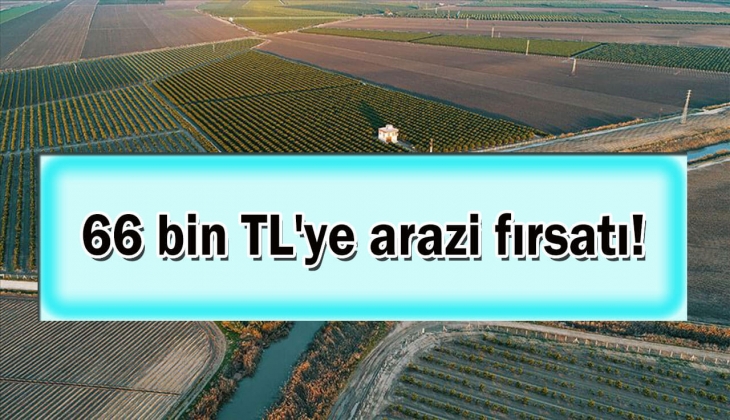 Milli Emlak'tan resmen son dakika fırsatı geldi! Tam 66 bin TL'ye arazi satacak! Bu tarihi aman kaçırmayın!