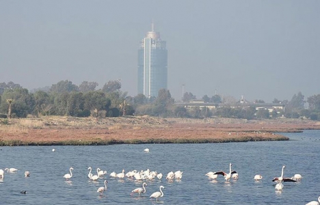 İzmir Körfez Geçişi projesine İnciraltı sakinlerinden destek!