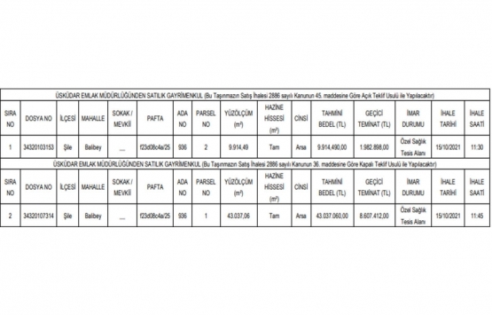 Şile de 52.9 milyon TL ye satılık 2 gayrimenkul!