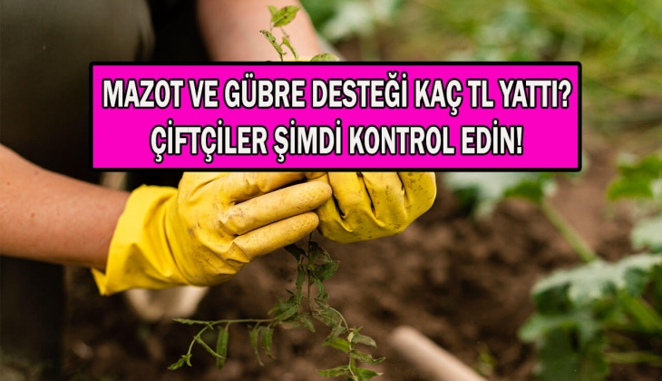 Çiftçilere son dakika haberi! Mazot ve gübre destekleri hesaplara yattı mı? Hesaplarınızı kontrol edin! 