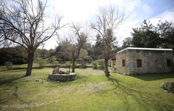 Bodrum da Pedasa Antik Kenti ndeki 170 dönümlük arazi 35 milyona satılıyor!