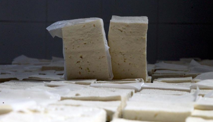 Migros tan peynir çeşitlerine yüzde 50 dev indirim! Sepet dolduracak fırsat!