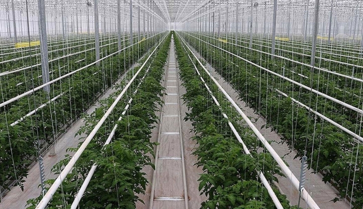 Çiftçilere 50 milyon TL kredi müjdesi! Seracılıkta tarihi yatırım fırsatını kaçırmayın! İşte kredi detayları...