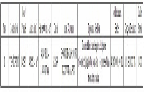 Aydın Söke de 4.1 milyon TL ye satılık arsa!