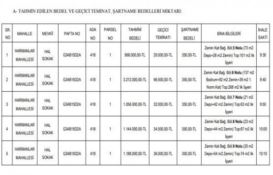 Amasya Merzifon da 17.3 milyon TL ye satılık 16 gayrimenkul!