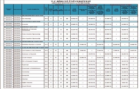 Biruni Üniversitesi nerede?