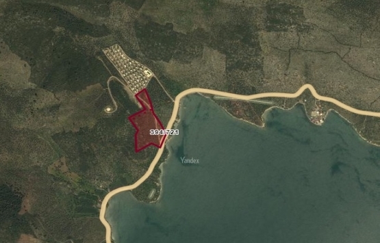 Milas'ta 11.1 milyon TL'ye icradan satılık zeytinlik!