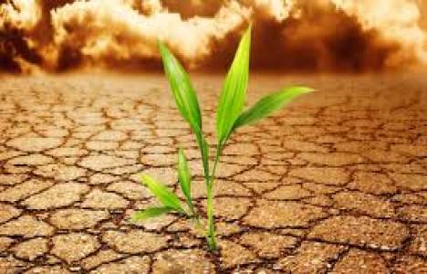 İklim Değişikliği Koordinasyon Kurulu Toplantısı yarın başlıyor!