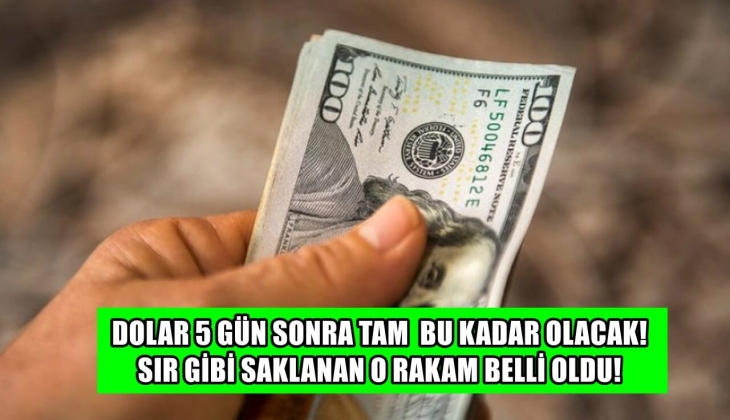 Dolar 5 gün sonra tam anlamıyla bu kadar olacak! Bu rakam sır gibi saklanıyordu! 1 doları bile olan acil baksın