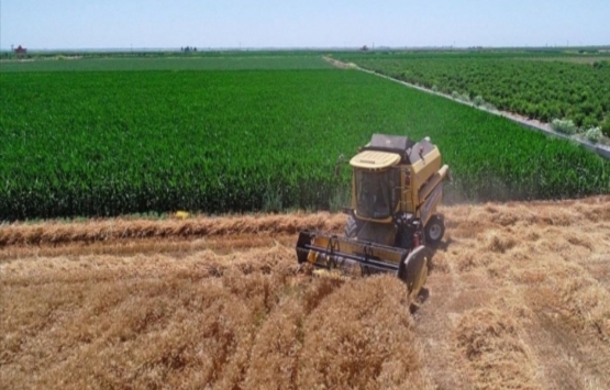 Gübre ve mazot desteği beklenirken Tarım Bakanı Pakdemirli neden istifa etti?
