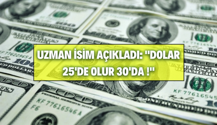 Dolar 25 TL mi olacak? Uzman isim resmen açıkladı! Gören duyan inanamadı! 