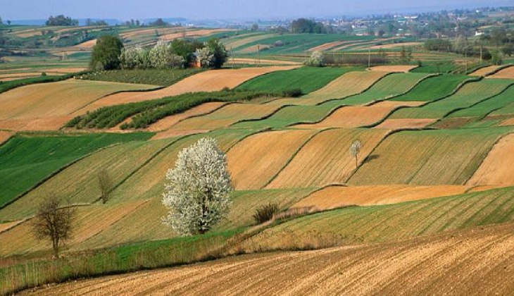 Milli Emlak 34 ilde hazine arazileri satışı başladı...