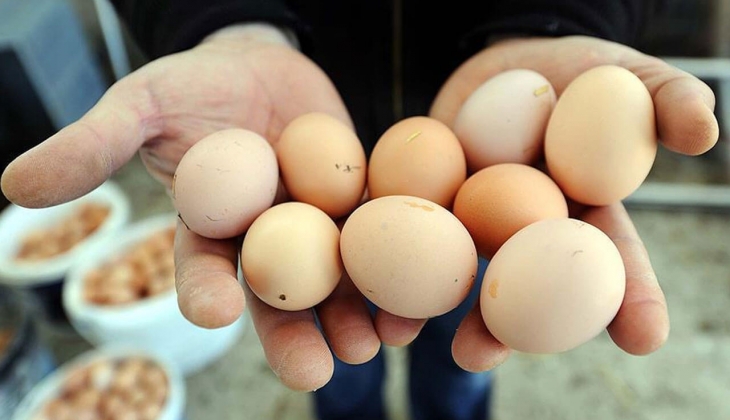 Yumurta üretiminde artan maliyetler etiketlere nasıl yansıdı? İşte A101, ŞOK, MİGROS 5 Nisan 2022 fiyat listesi...