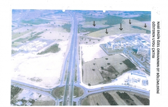 Bursa Nabi Ergin Özel Ormanı na inşaat yapılamayacak!