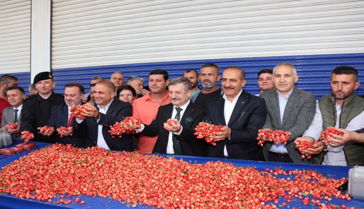 Kirazda hasat coşkusu! Bu yıl kiraza doyacağız ama fiyatlar şimdilik el yakıyor!