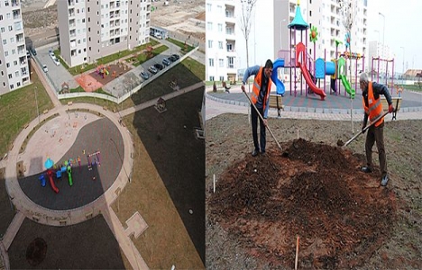 Şanlıurfa Ceylanpınar'a dev park!