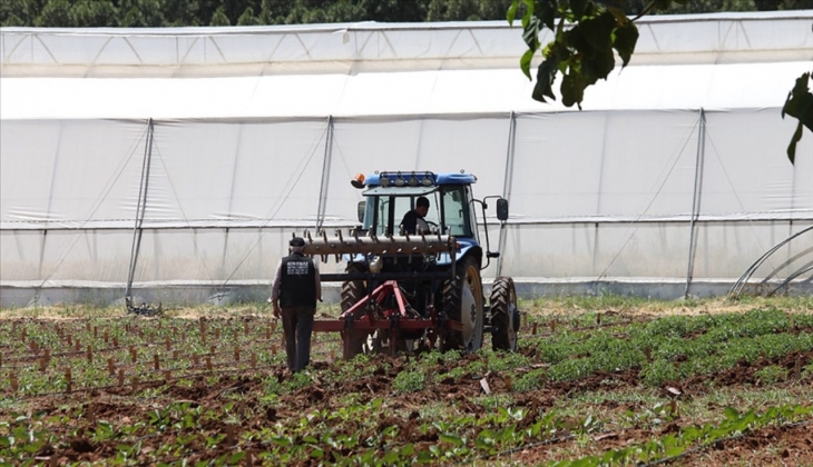 Onbinlerce çiftçiyi ilgilendiren çok önemli haber! Tarım Bakanlığı az önce duyurdu!