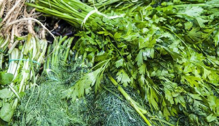 Ağrı kesici ve idrar söktürücü özelliği var. Bu yüzden rağbet çok yüksek. Eken çiftçi boş dönmüyor parasını kazanıyır