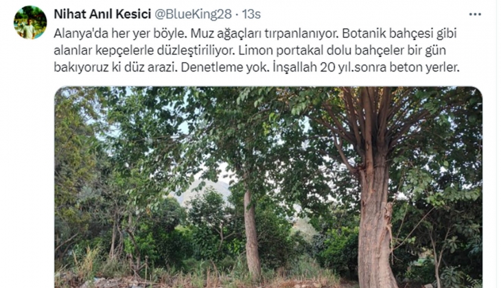 Birinci sınıf tarım arazileri villa oluyor: Müteahhitlere yüzde 40-50 pay ile veriliyor!