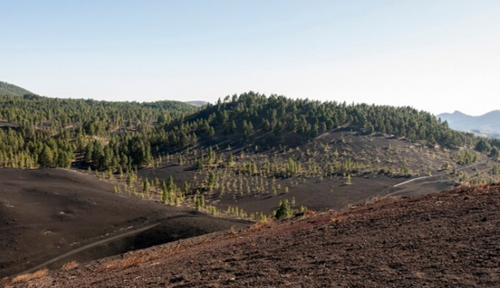 Milli Emlak  Bolu ve Çanakkale’de 48 bin TL’den başlayan fiyatlarla arazi satıyor!