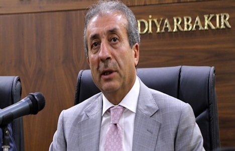 Soma'da ağaçları kesen firmaya 511 bin lira ceza!