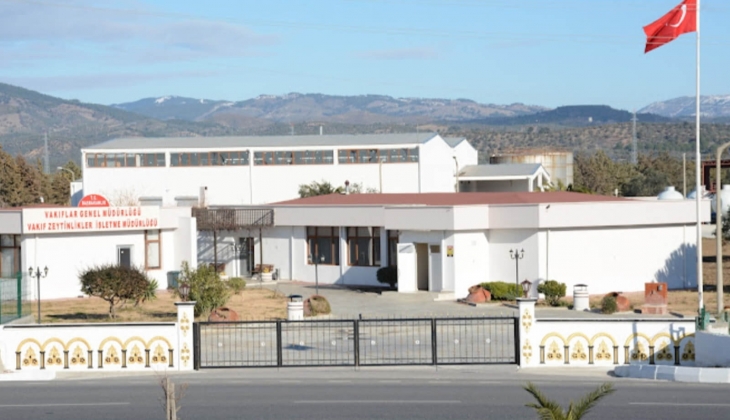 14 bin hektarlık Vakıf Zeytinlikleri arazisi Meclis gündeminde! 1,5 ay önce üretim durmuştu! Araziye ne olacak? 